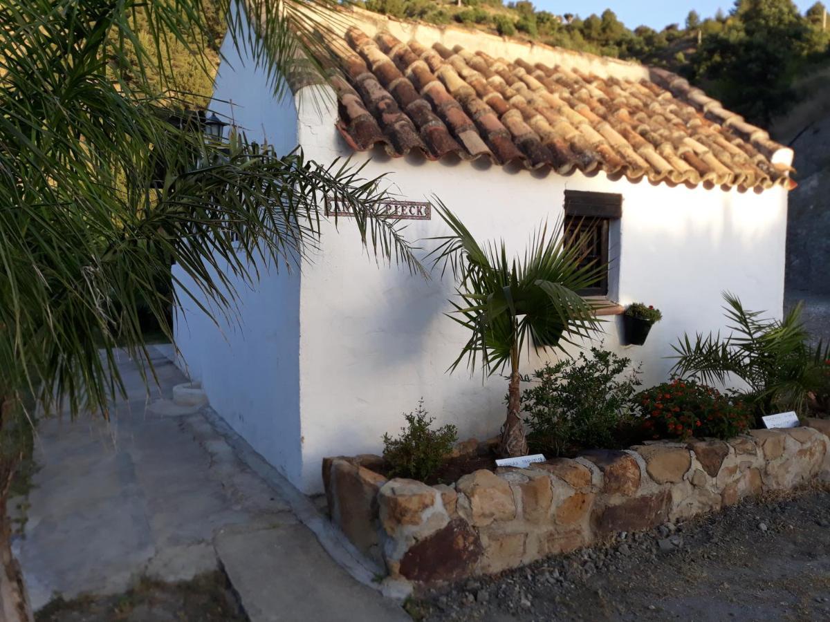 Tiny House 12M2 In Holiday Park With 55 M2 Pool Tolox Bagian luar foto
